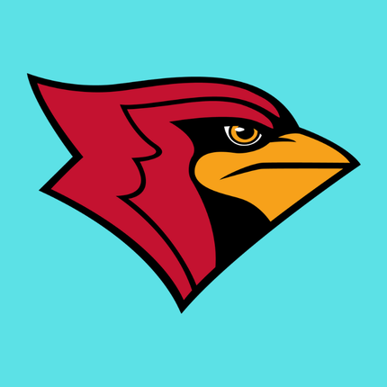 Collection image for: Clinton Cardinal Team Store