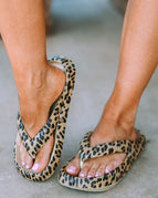Leopard / 37