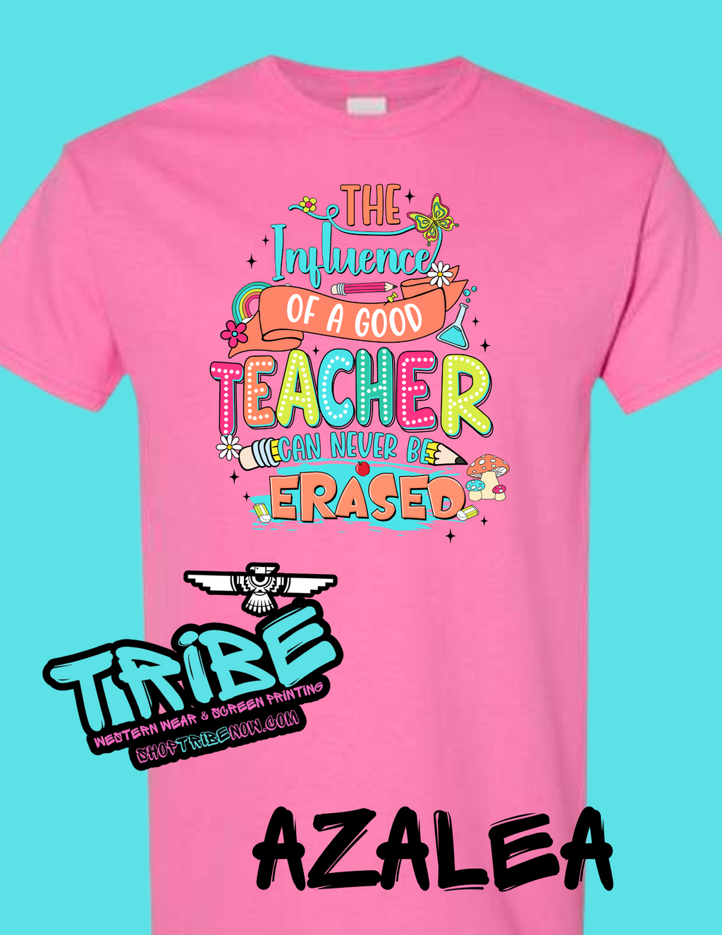 The Influence of a good Teacher can't be erased