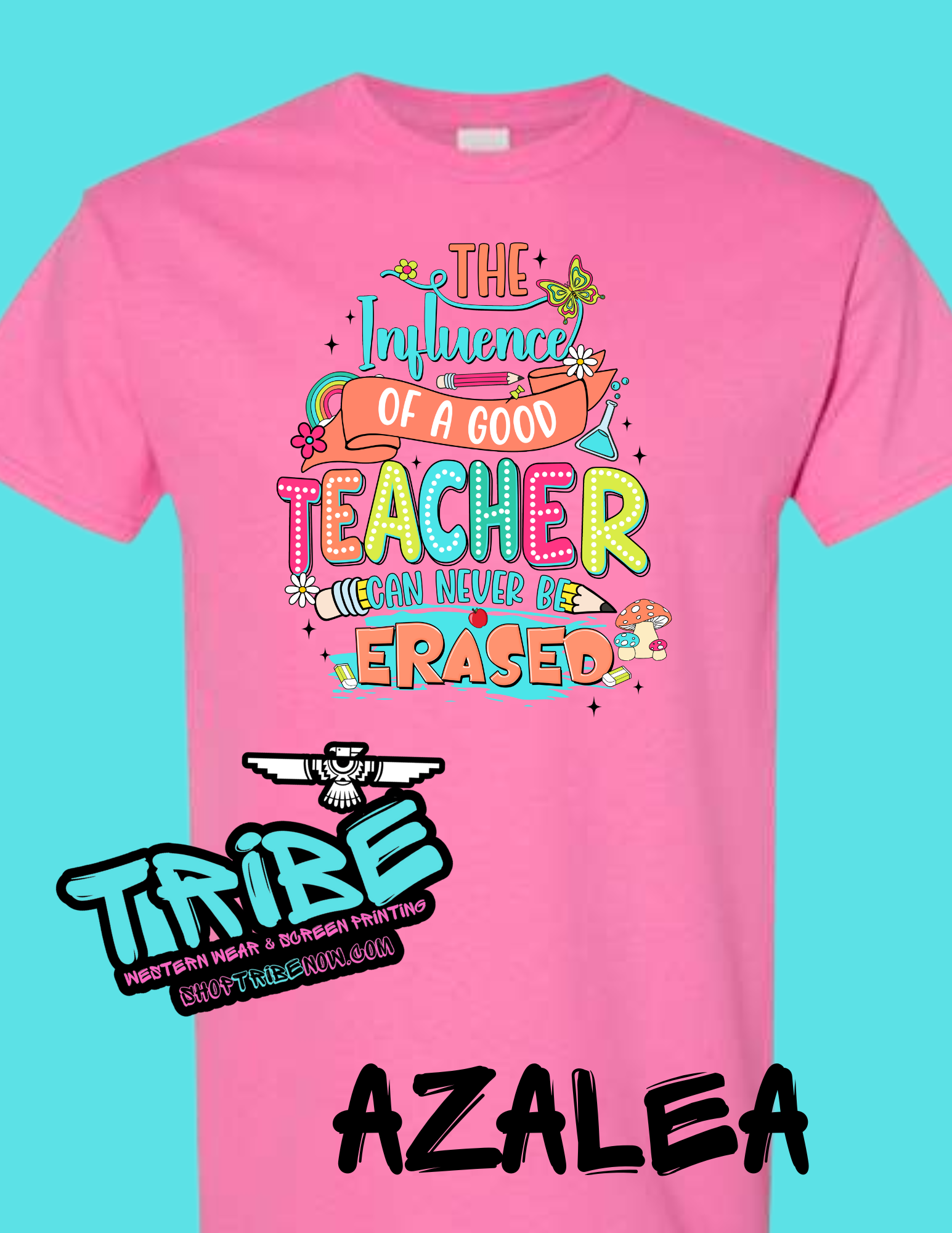 The Influence of a good Teacher can't be erased
