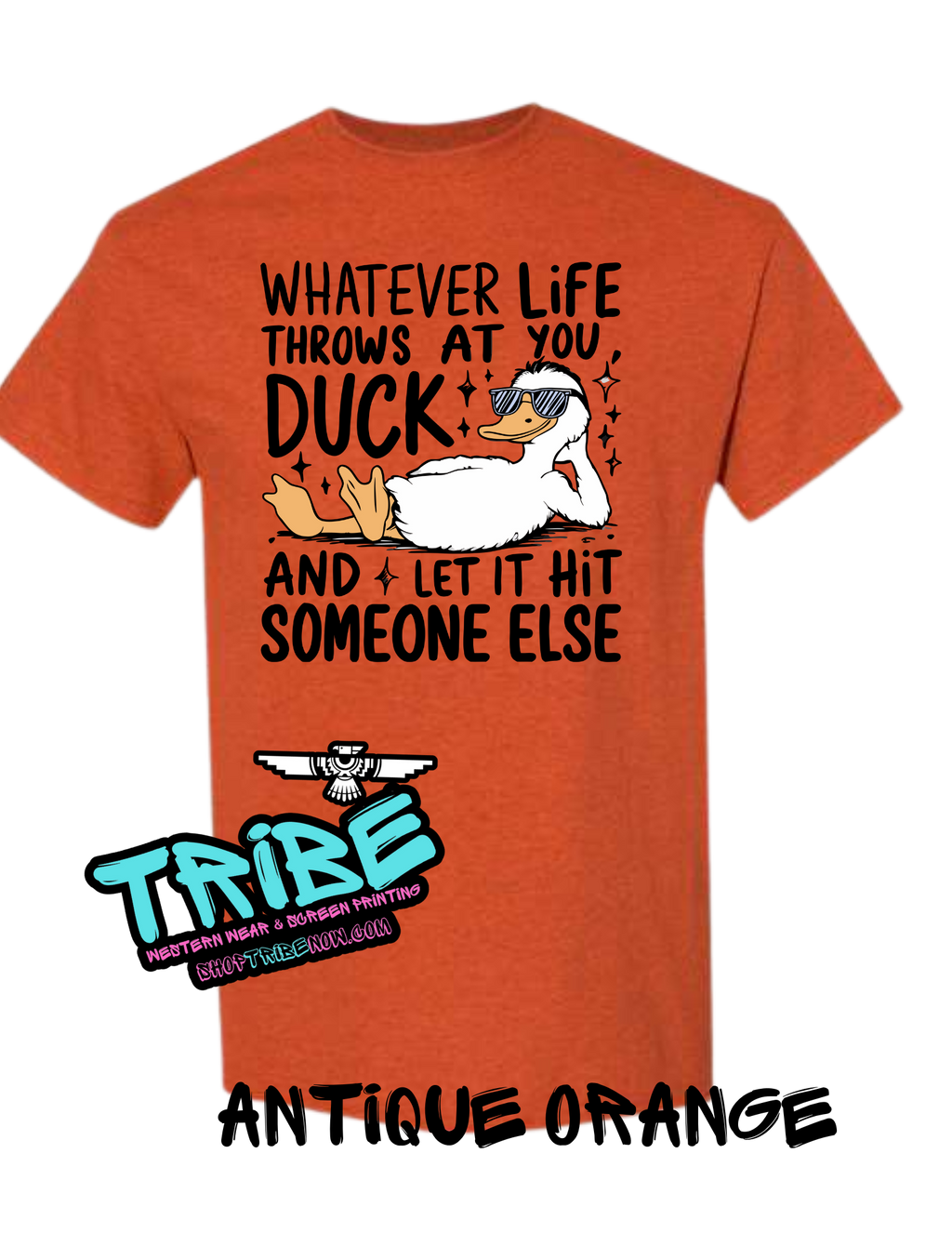 Duck With Whatever life throws