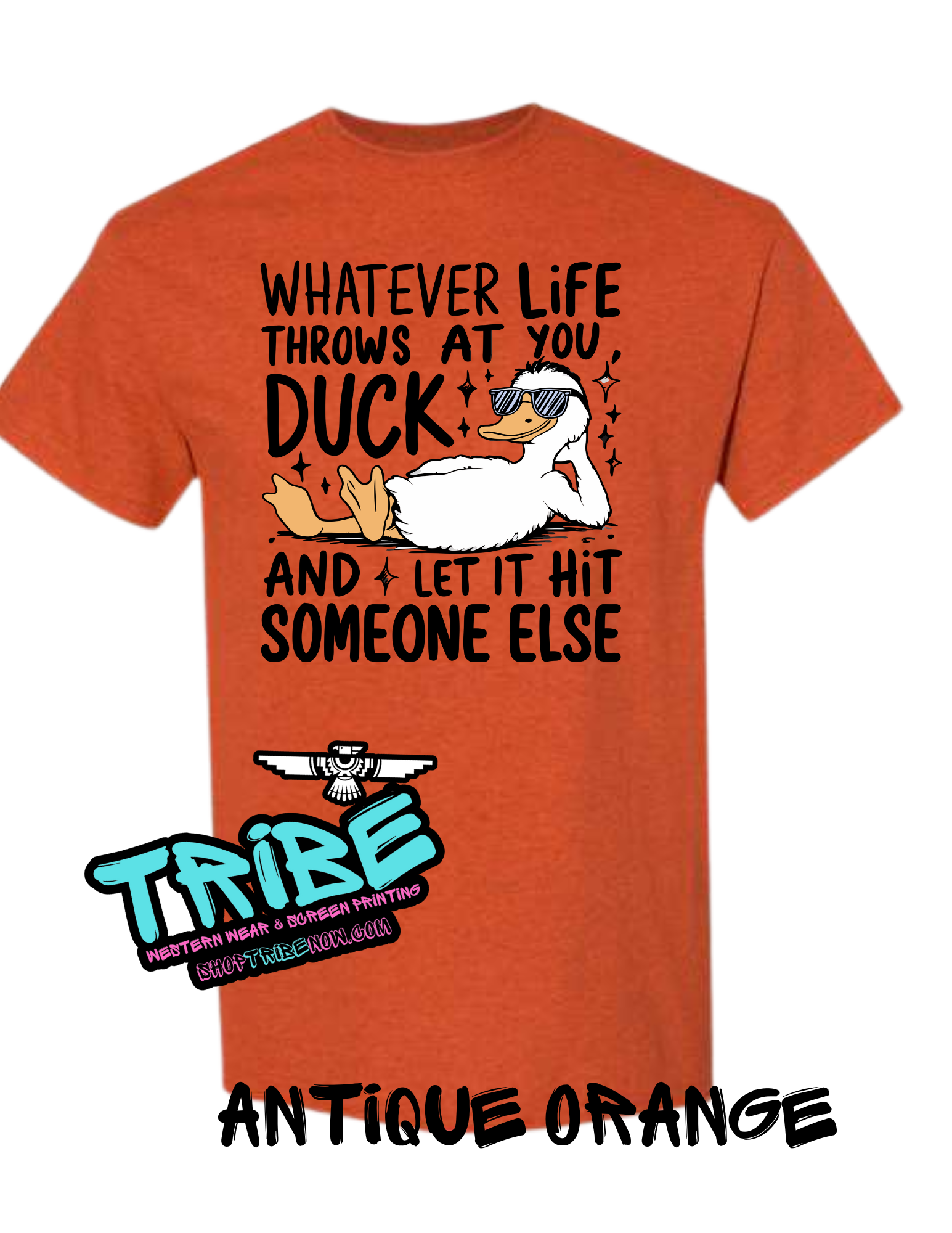 Duck With Whatever life throws