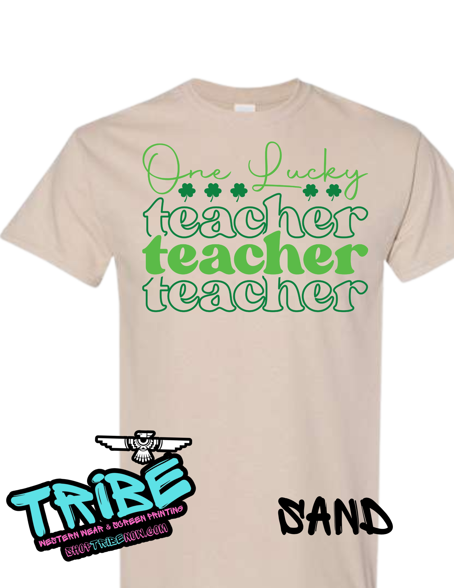 One Lucky Teacher