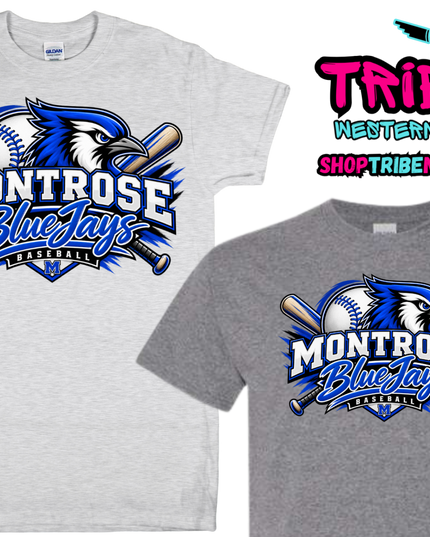 Montrose BlueJays Baseball