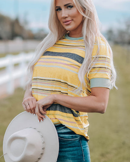 Multicolor Stripes Crew Neck T Shirt