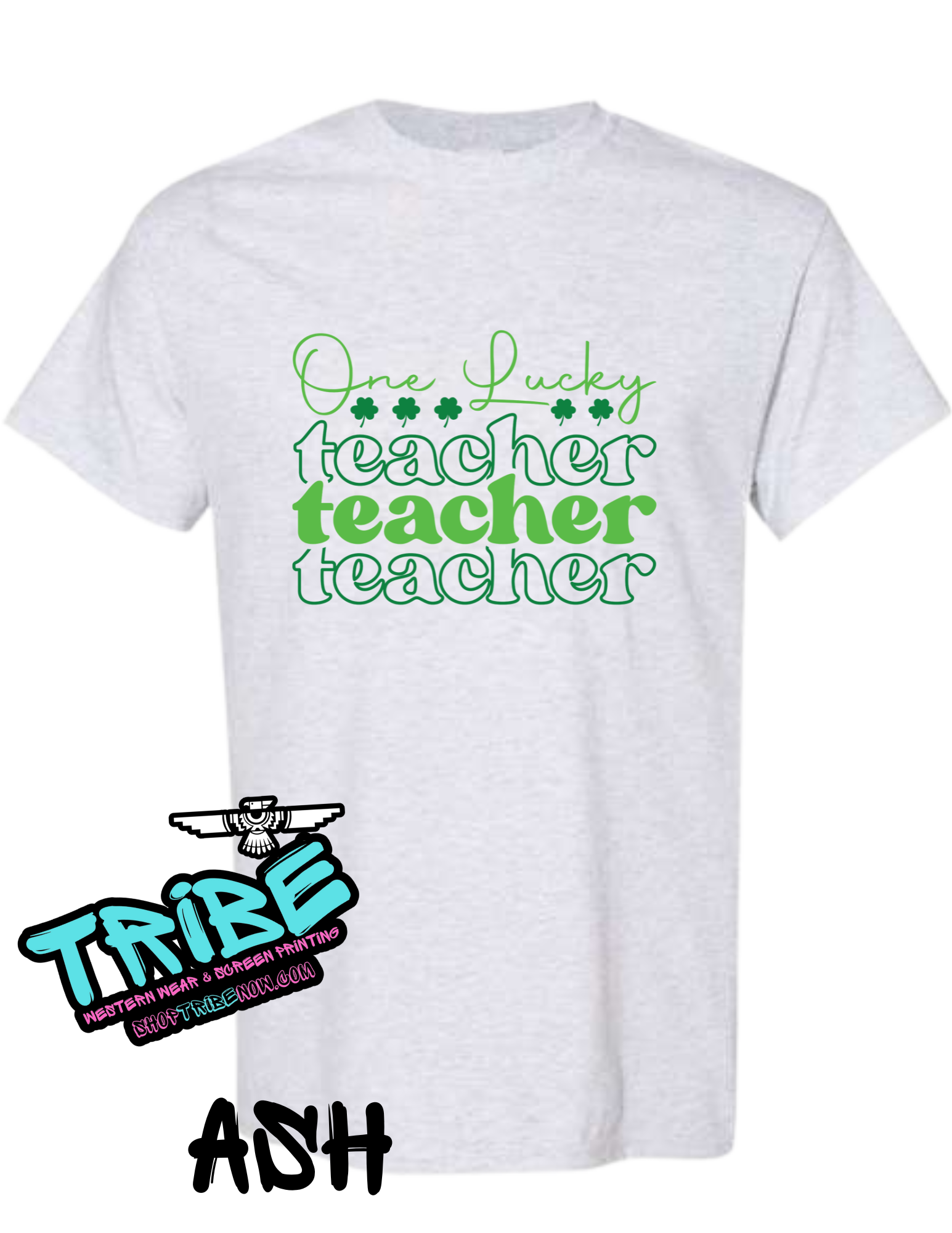 One Lucky Teacher