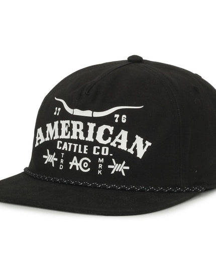 Longhorn Barb Hat