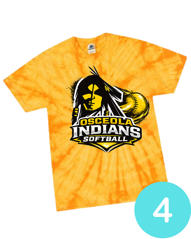 Summer Softball - Osceola
