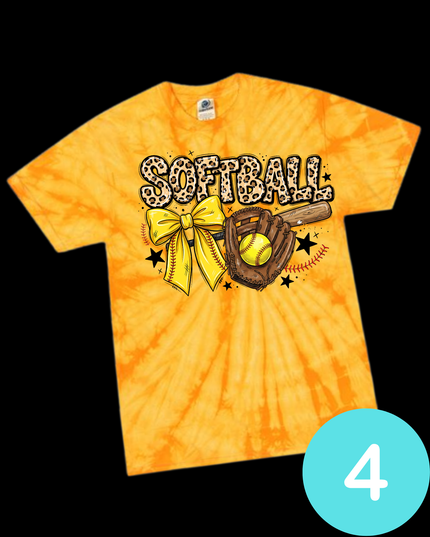 Summer Softball -1