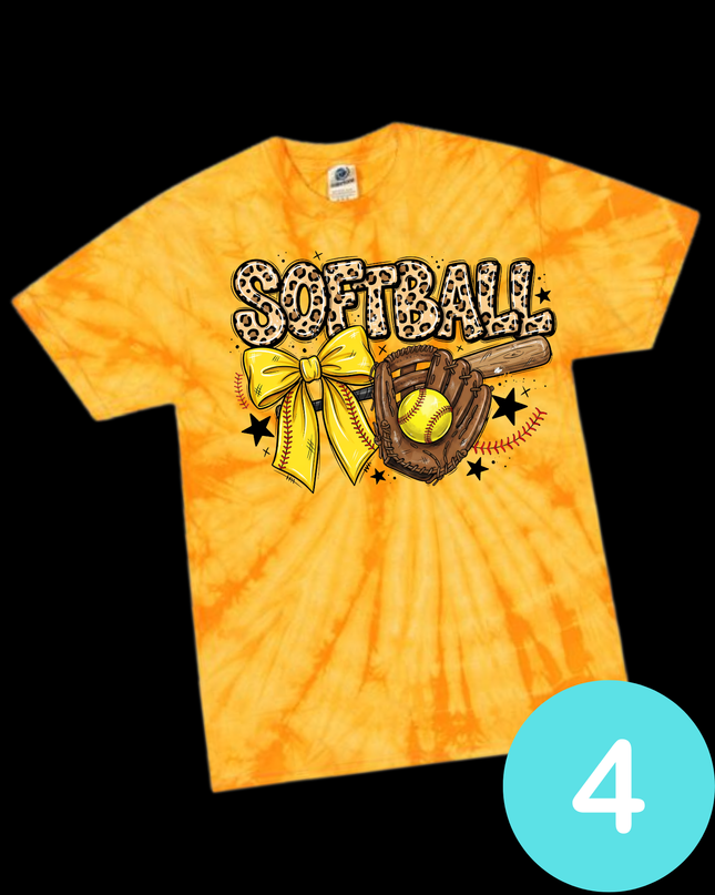 Summer Softball -1