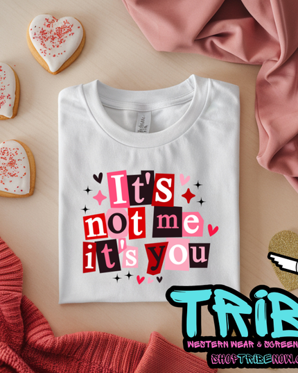 It's You Not Me