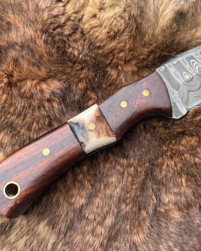 Introducing the Titan TK-060 Damascus Steel Skinner Knife with Rosewood & Stag Grip