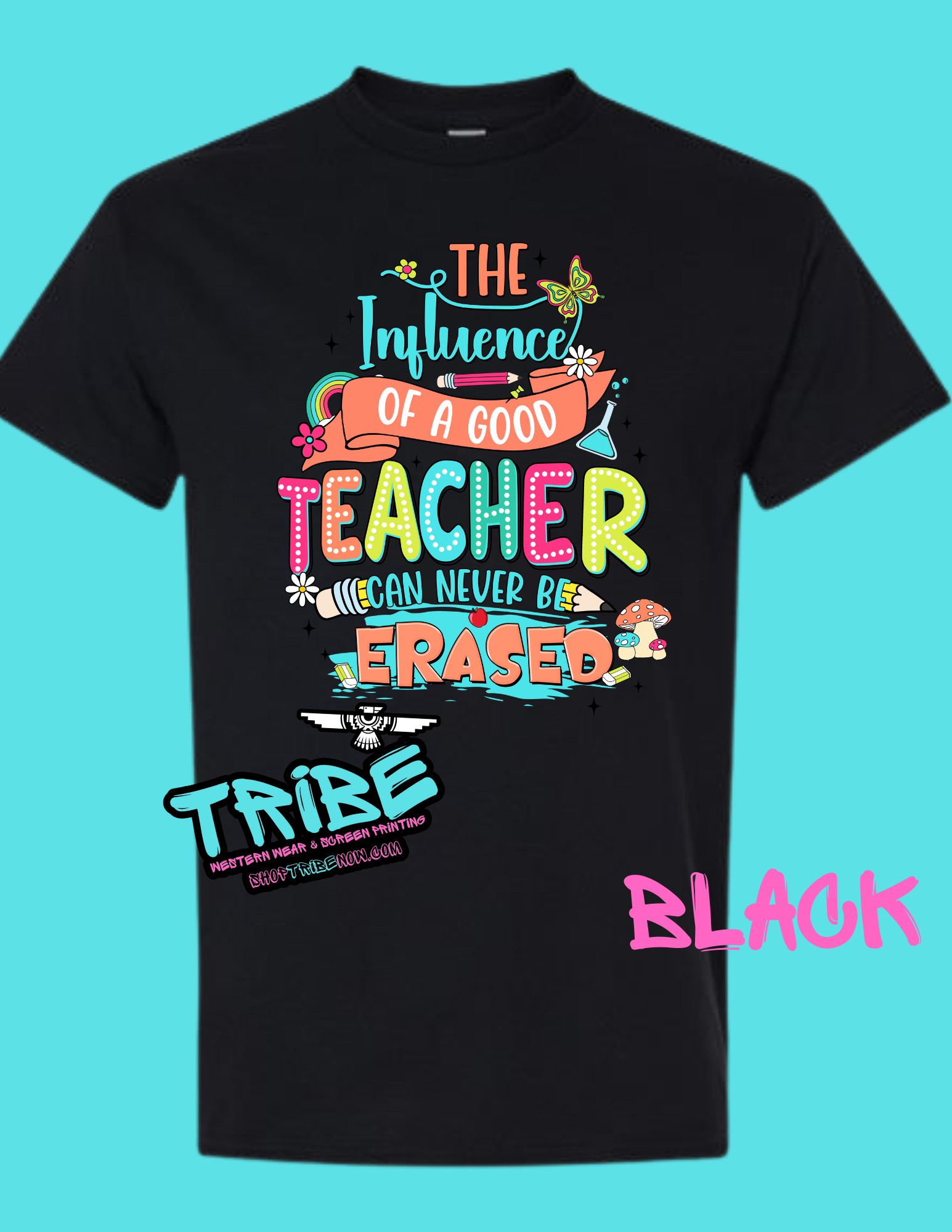 The Influence of a good Teacher can't be erased