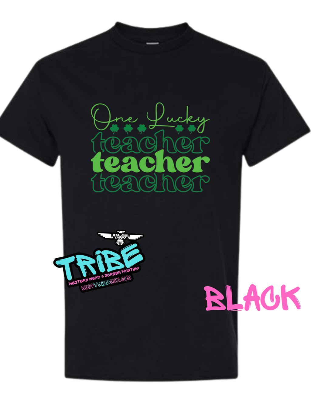 One Lucky Teacher