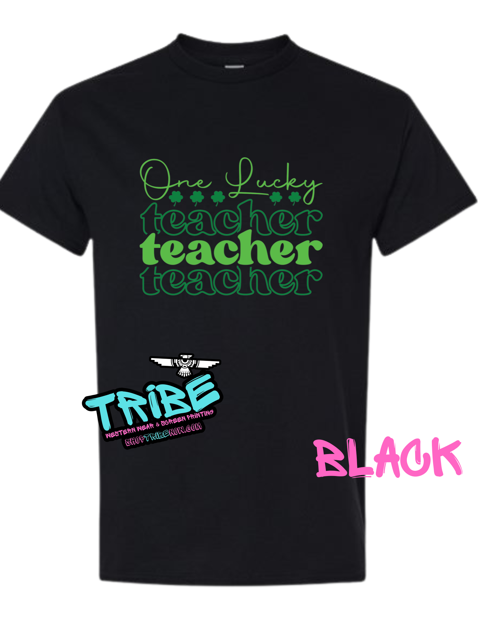 One Lucky Teacher