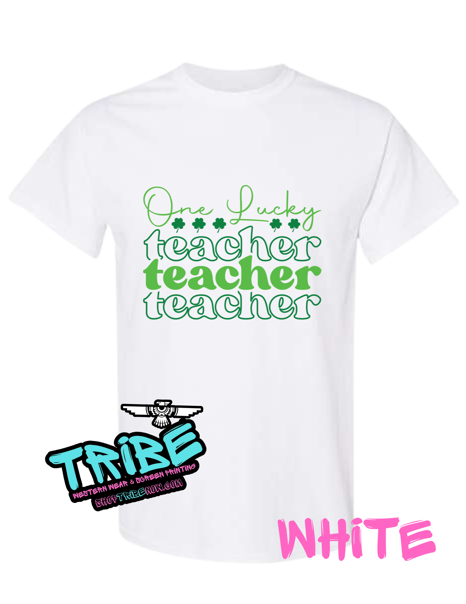One Lucky Teacher