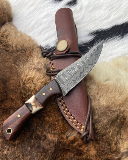 Introducing the Titan TK-060 Damascus Steel Skinner Knife with Rosewood & Stag Grip