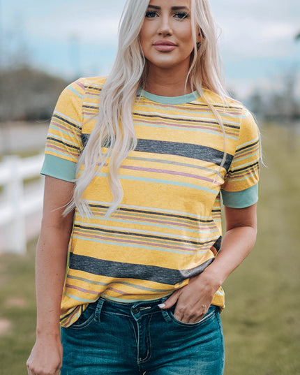 Multicolor Stripes Crew Neck T Shirt