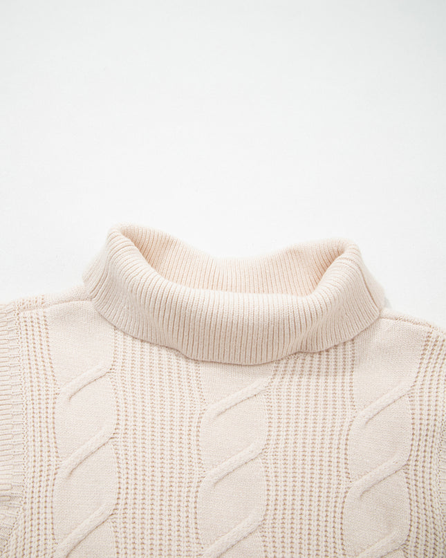 Jet Stream Cable Knit Turtleneck Ruffled Short Sleeve Sweater
