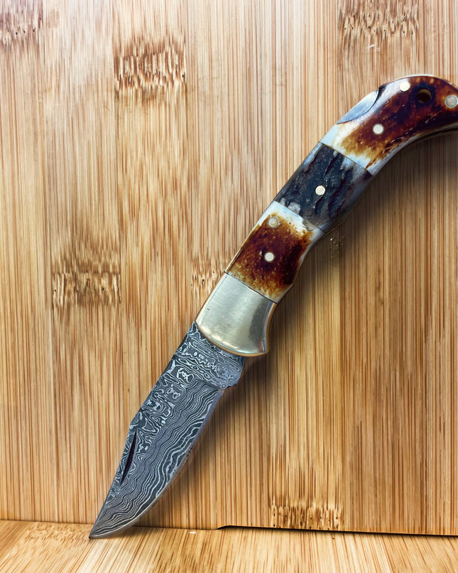 Burnt Bone and Stag Horn folding knife with Leather Sheath